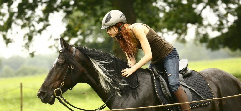 Whisper Libres Comme Le Vent Attraction Distribution - 