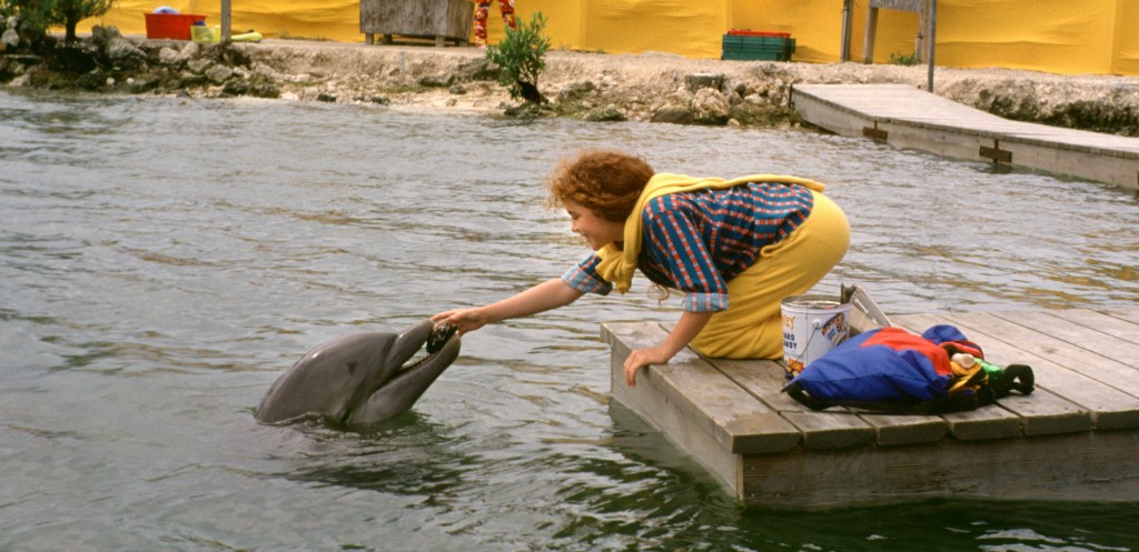 Tadpole and the Whale 1987 Full Movie Online
