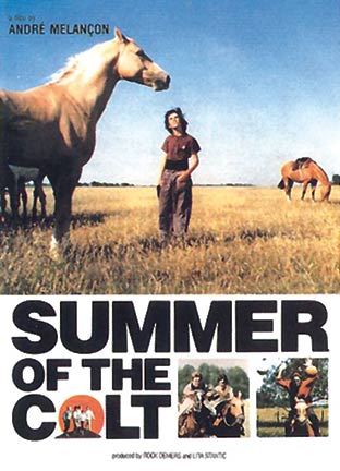 Summer of the Colt