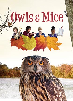 Owls & Mice