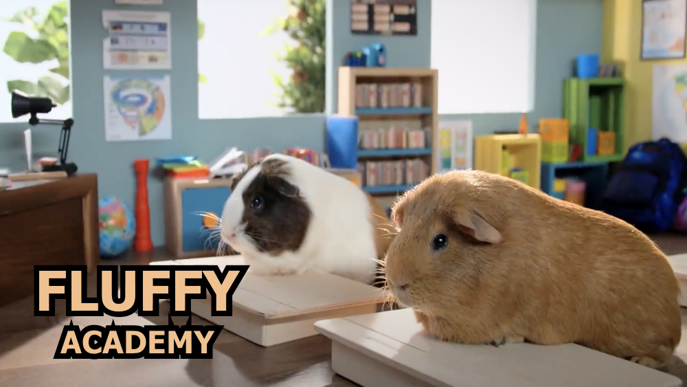 Fluffy Academy